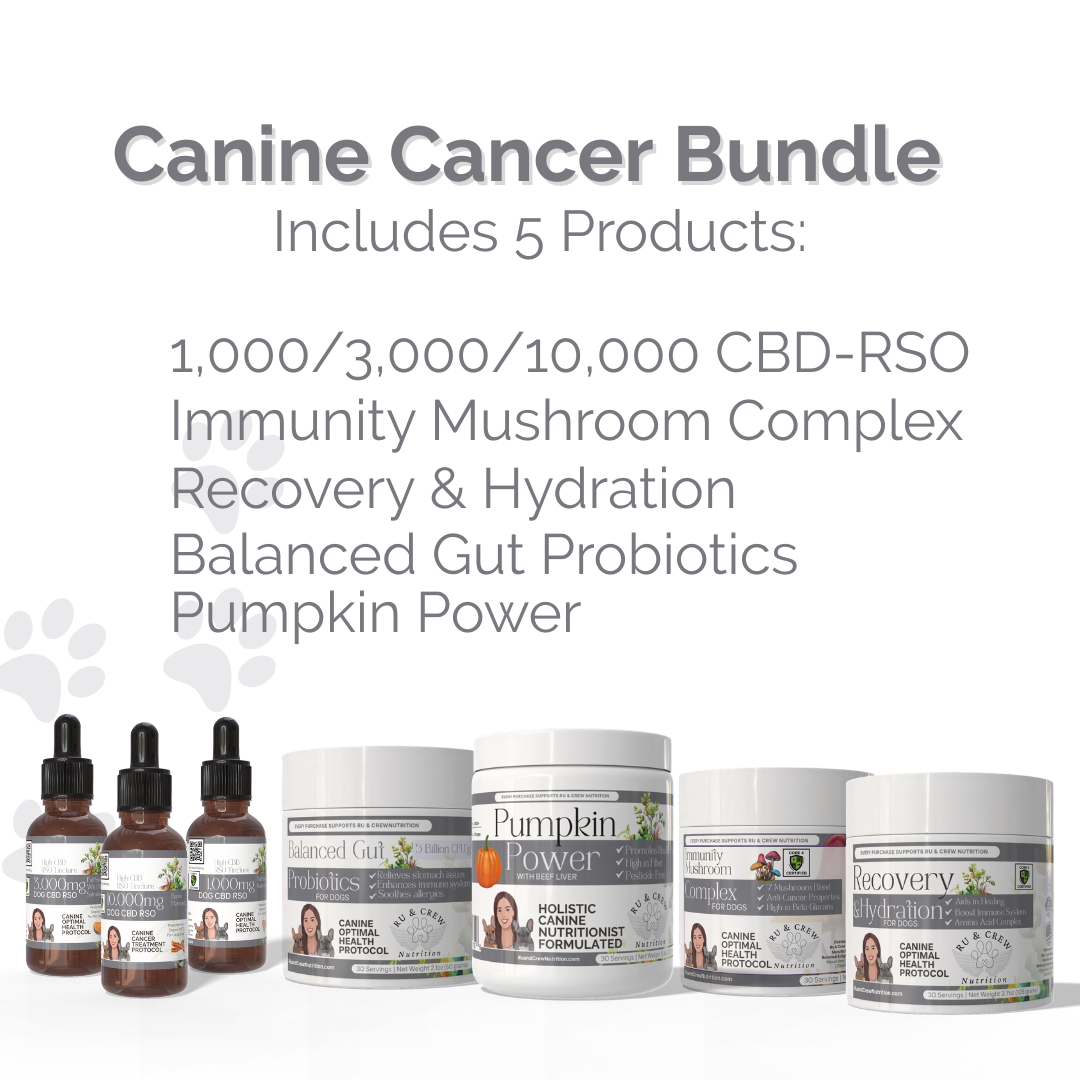 Canine Cancer Support Bundle
