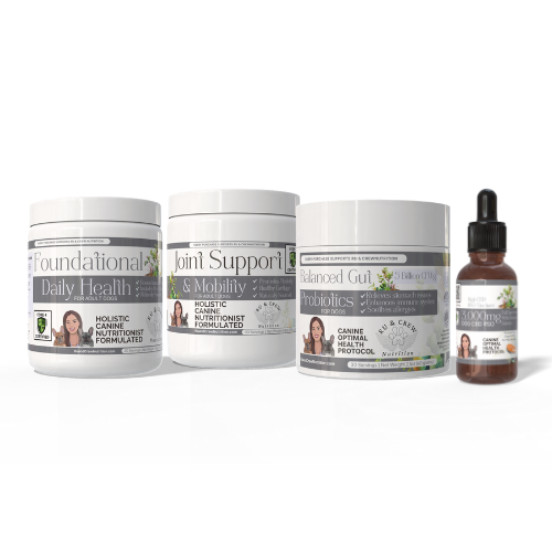 Senior Dog Support Bundle